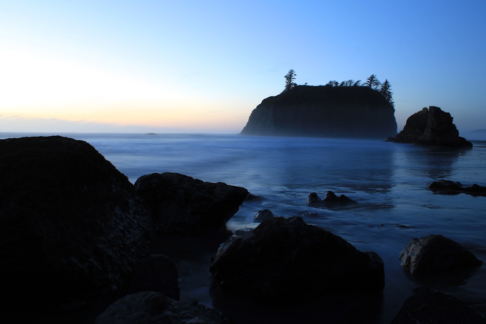 Explore Tide Pools at Kalaloch Beach 4, Kalaloch Beach 4