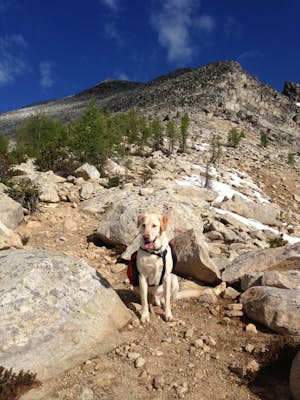 Backpack to Remmel Mtn. & Four Point Lake