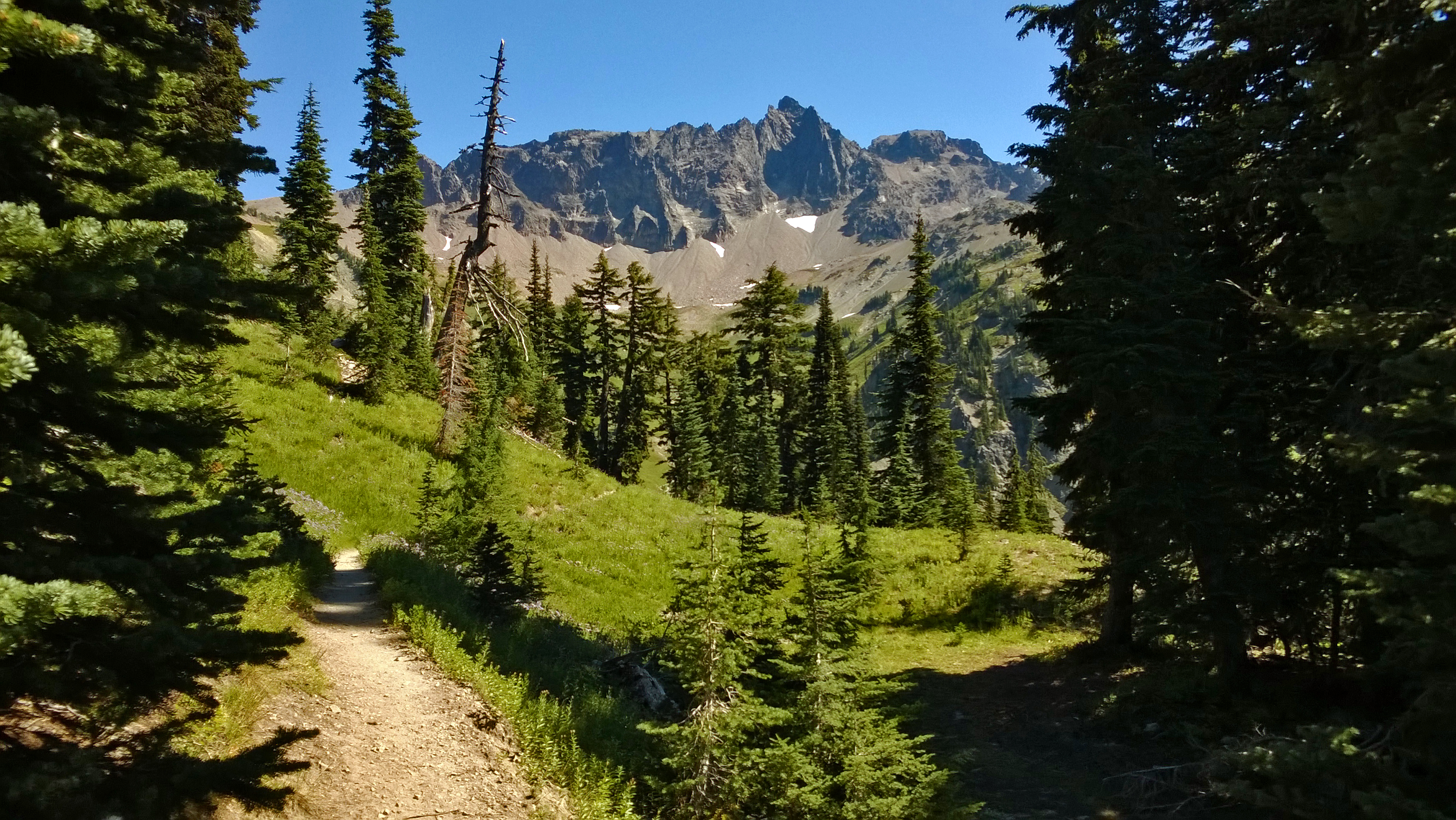 Backpack the Snowgrass Flats, Cispus Basin, Nannie Ridge Loop