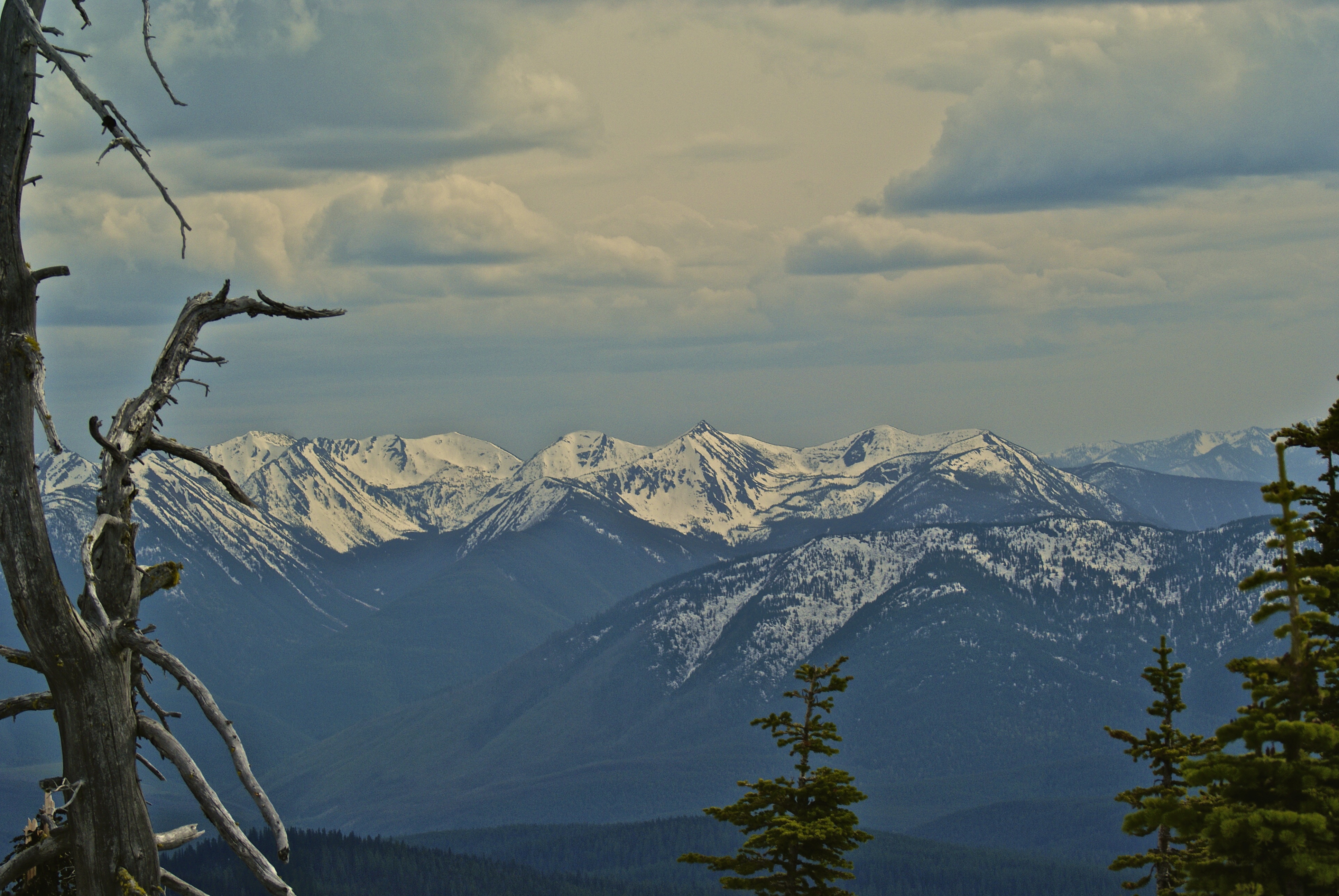 Hike to the Mt. Brown Lookout