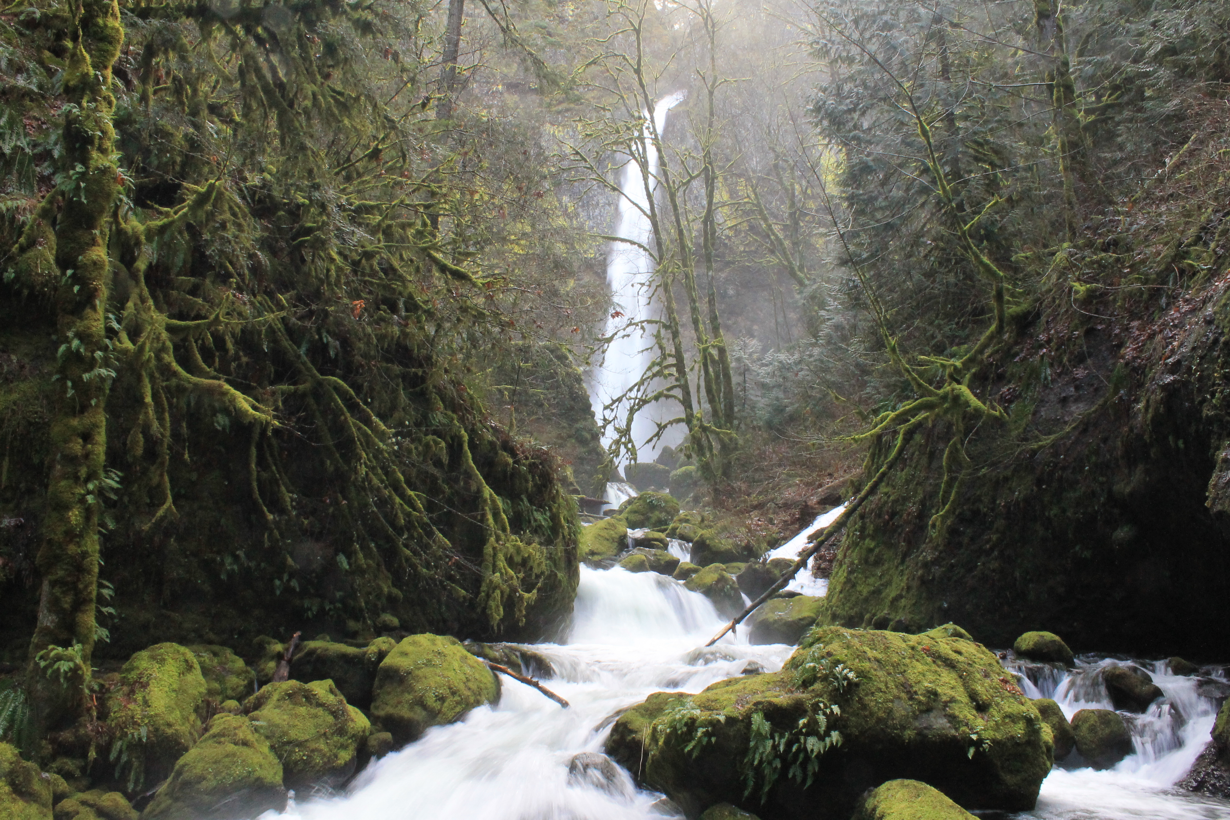 Elowah Falls