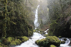 Hike to Elowah Falls