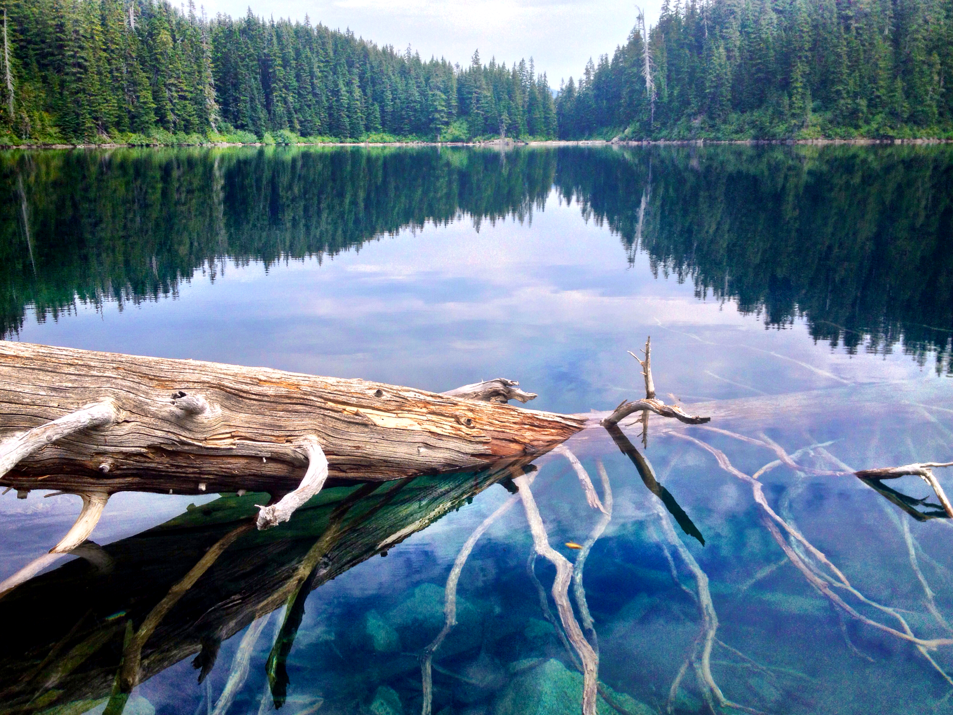Upper Wildcat Lake, North Bend, Washington