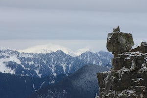 Scramble up Mt. Persis 