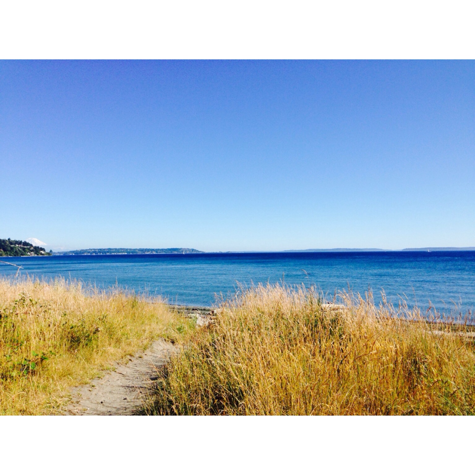 Lighthouse and Discovery Park Loop