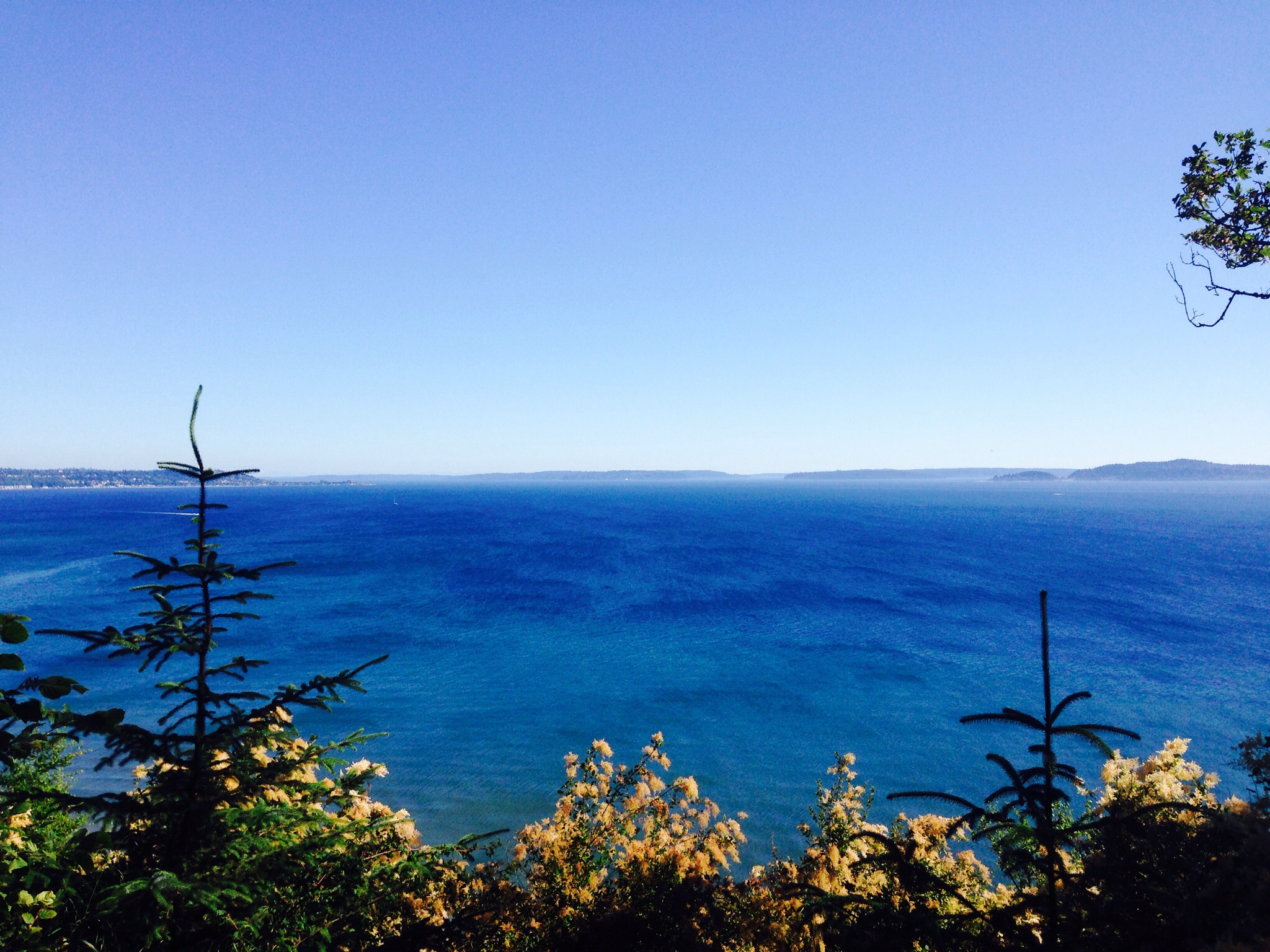Lighthouse and Discovery Park Loop