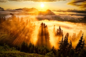Evergreen Mountain Lookout