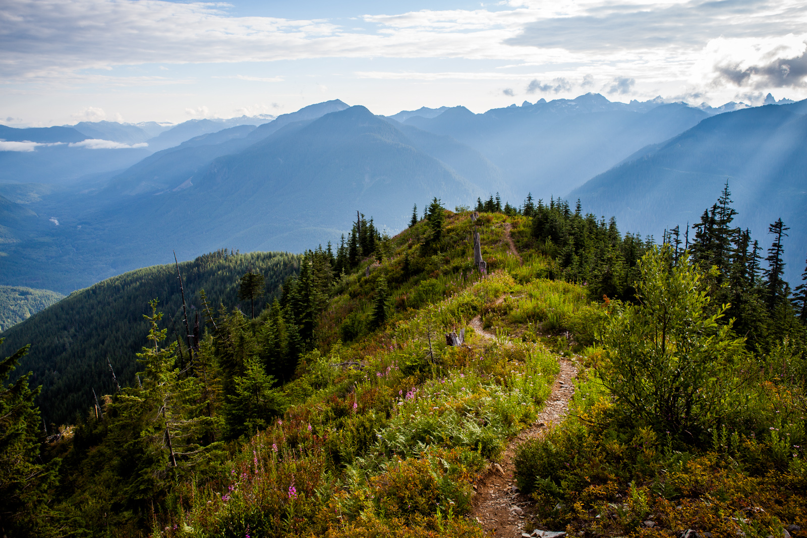 Evergreen Mountain Lookout