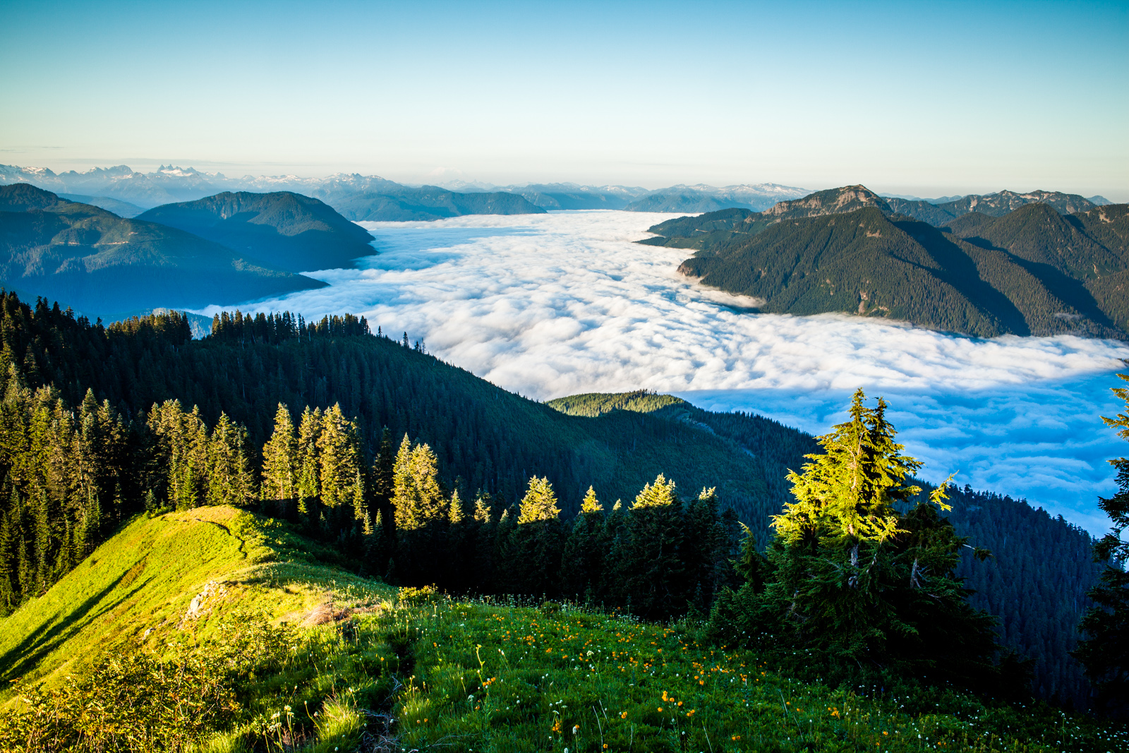 Evergreen Mountain Lookout