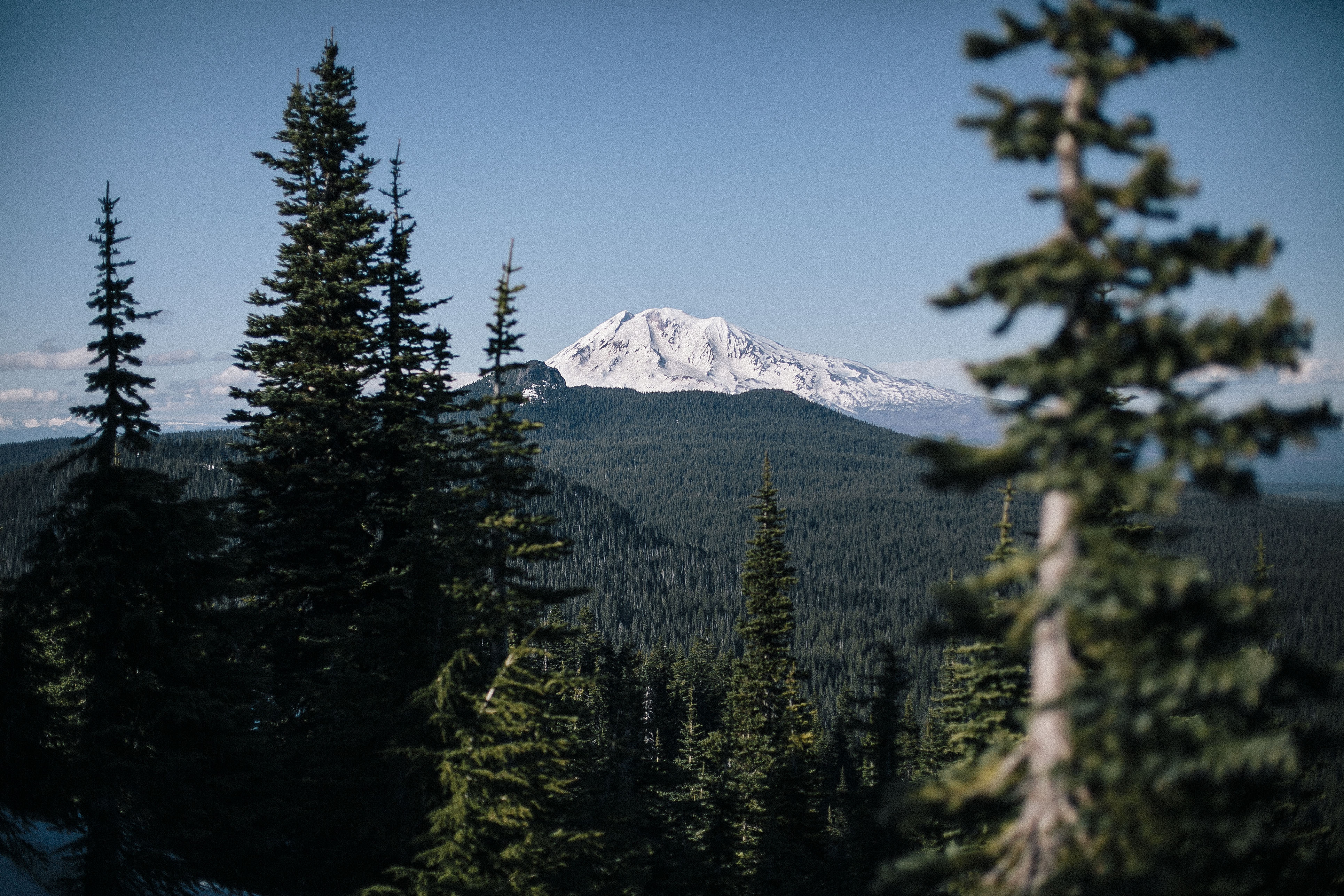 Indian Heaven to Blue Lake