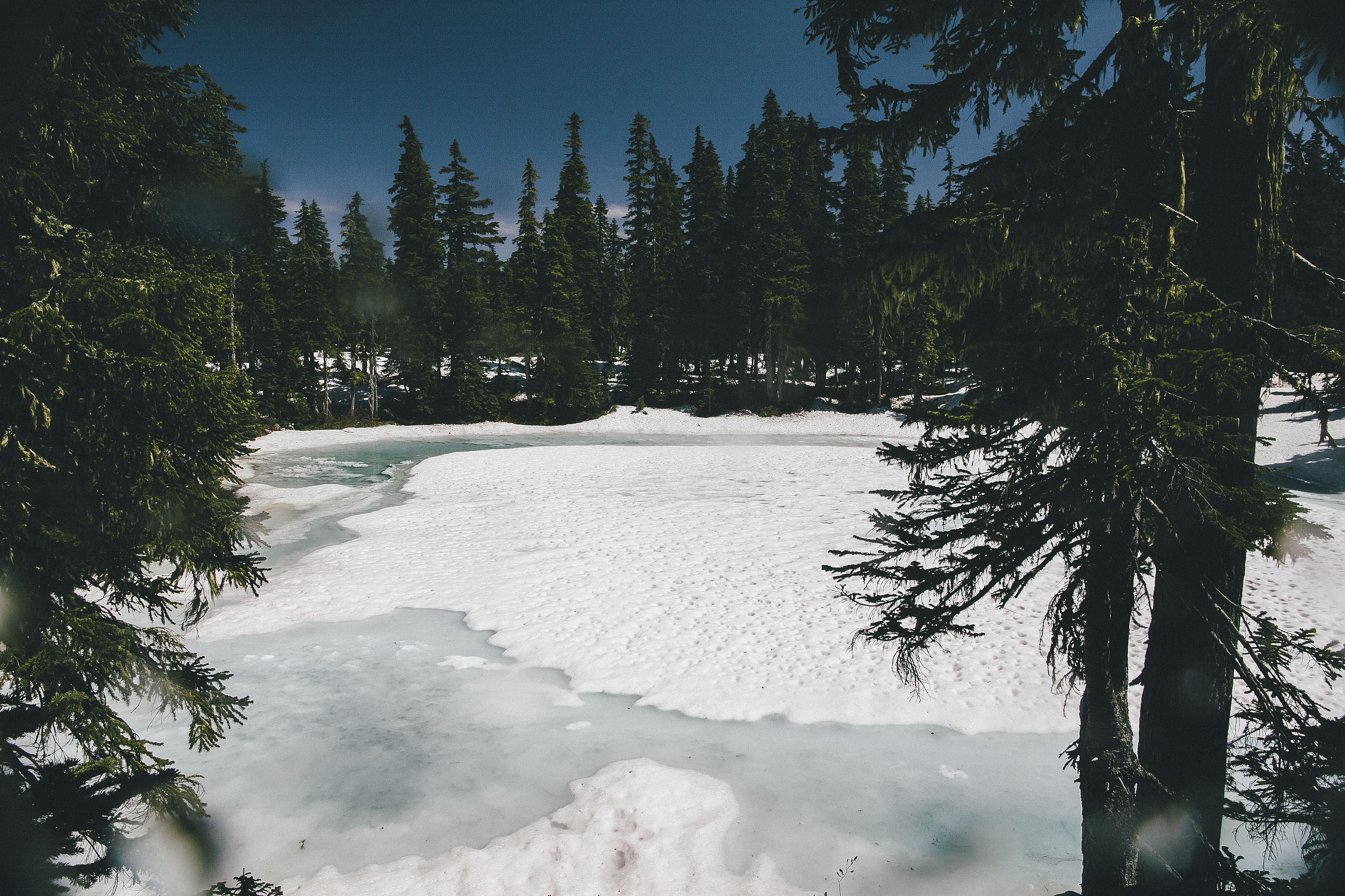 Indian Heaven to Blue Lake