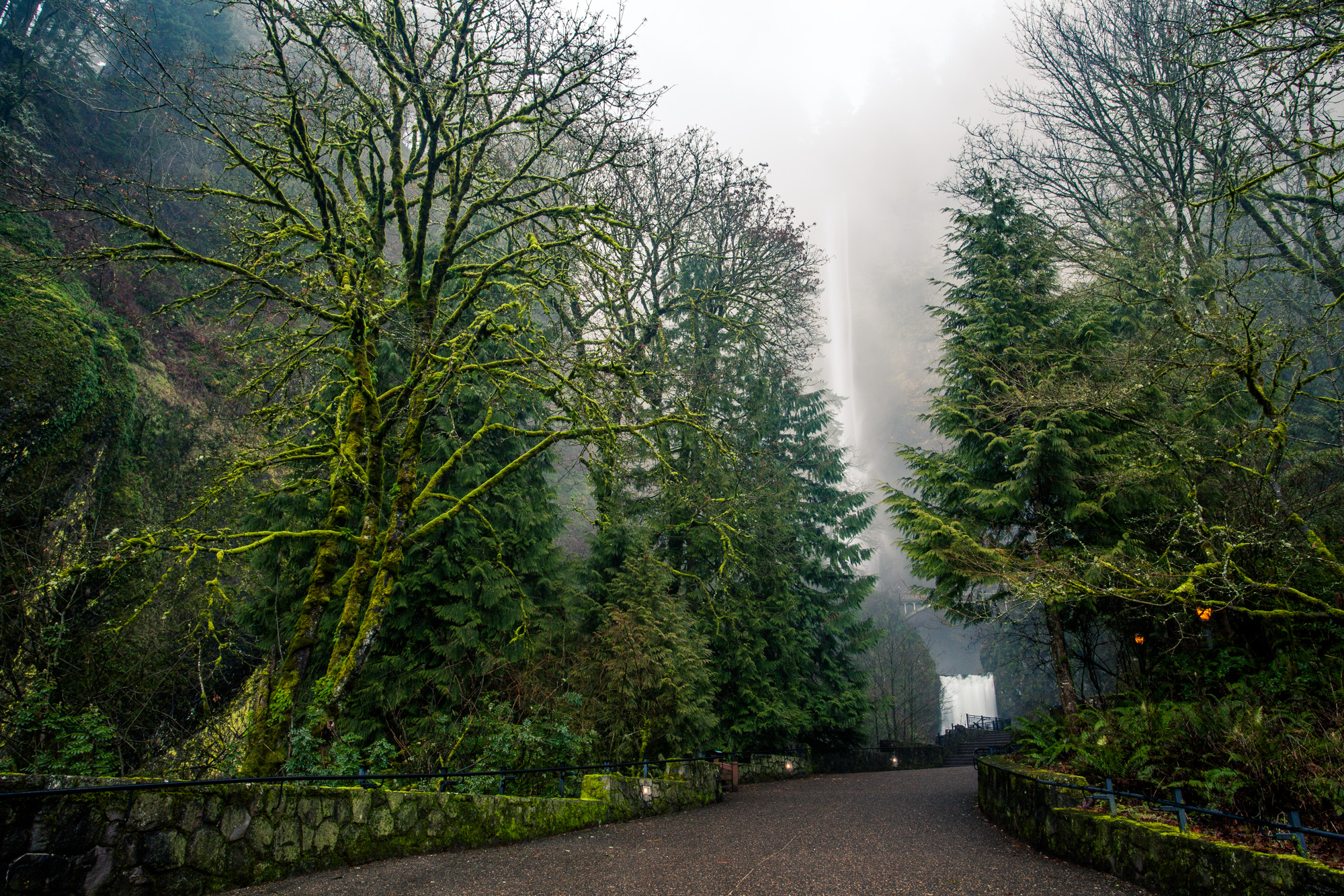 Multnomah Falls