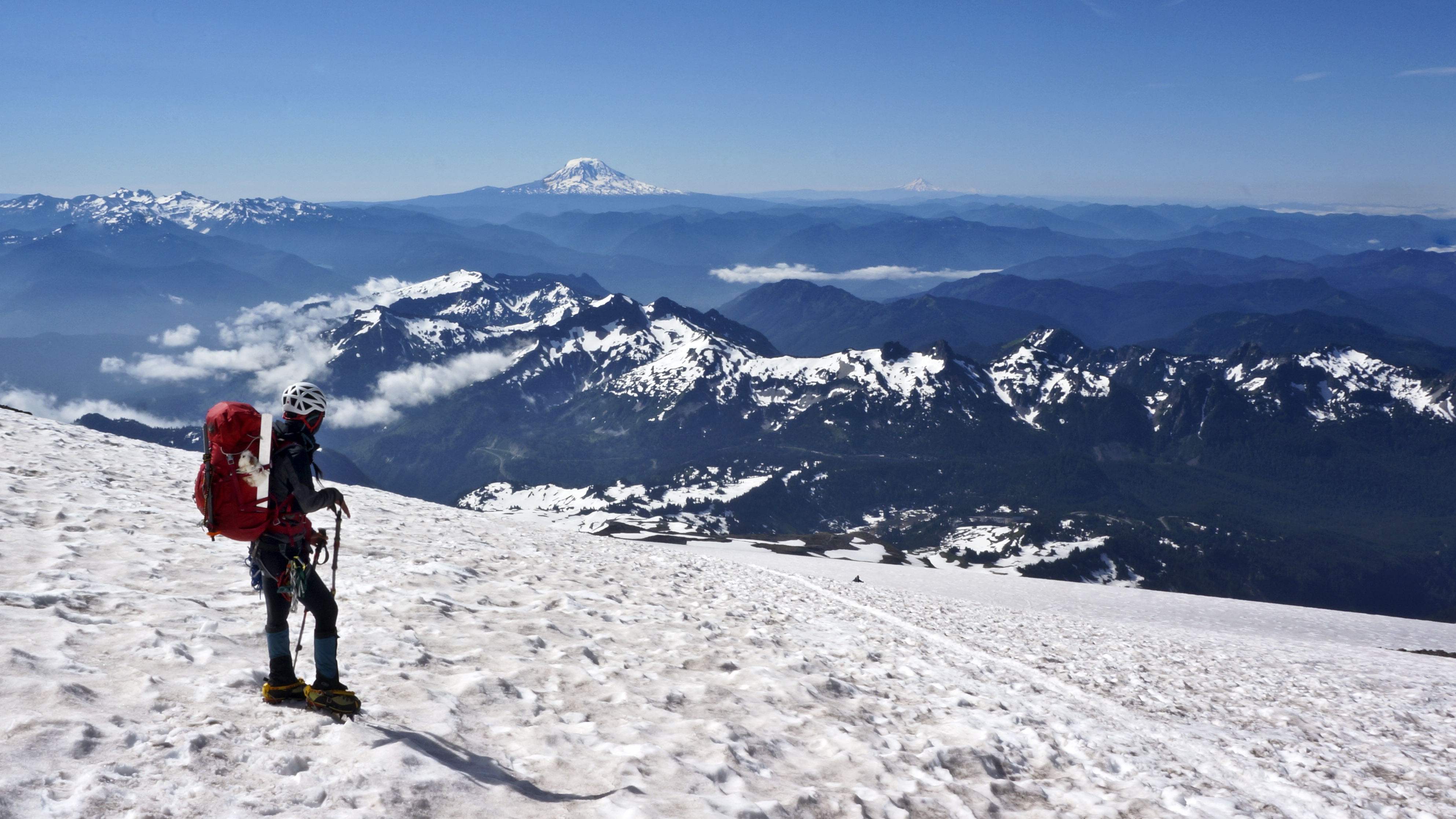 Mt. Rainier via Disappointment Cleaver 
