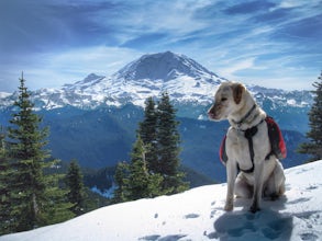 Hike Bearhead Mountain