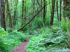 Run the Maple Trail Loop
