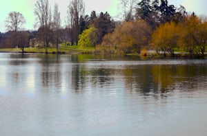 Run The Green Lake Park Loop