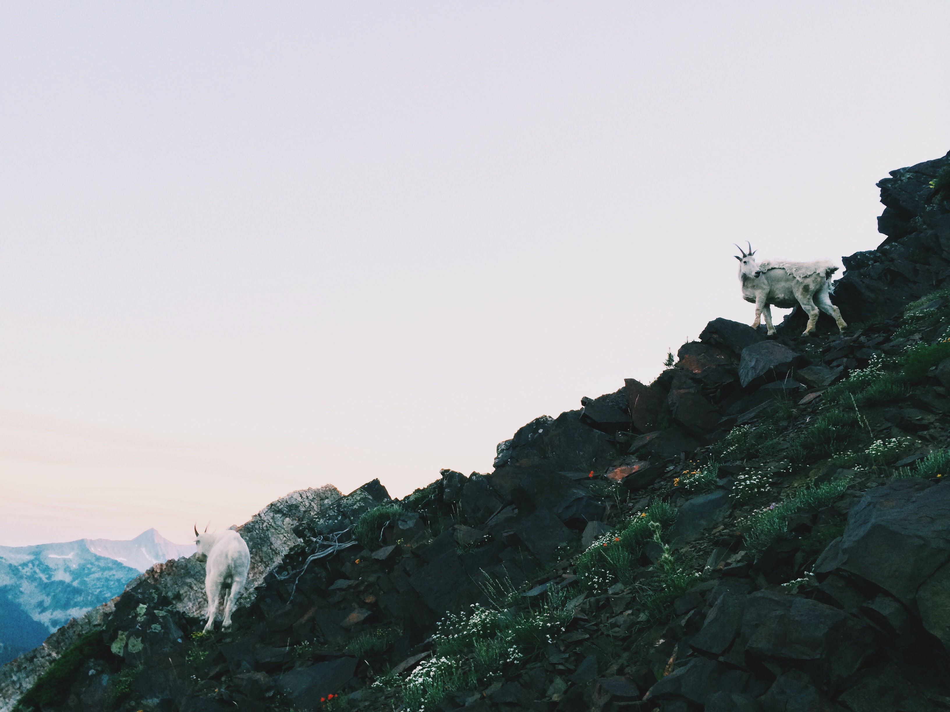 Hike and Scramble Mount Superior