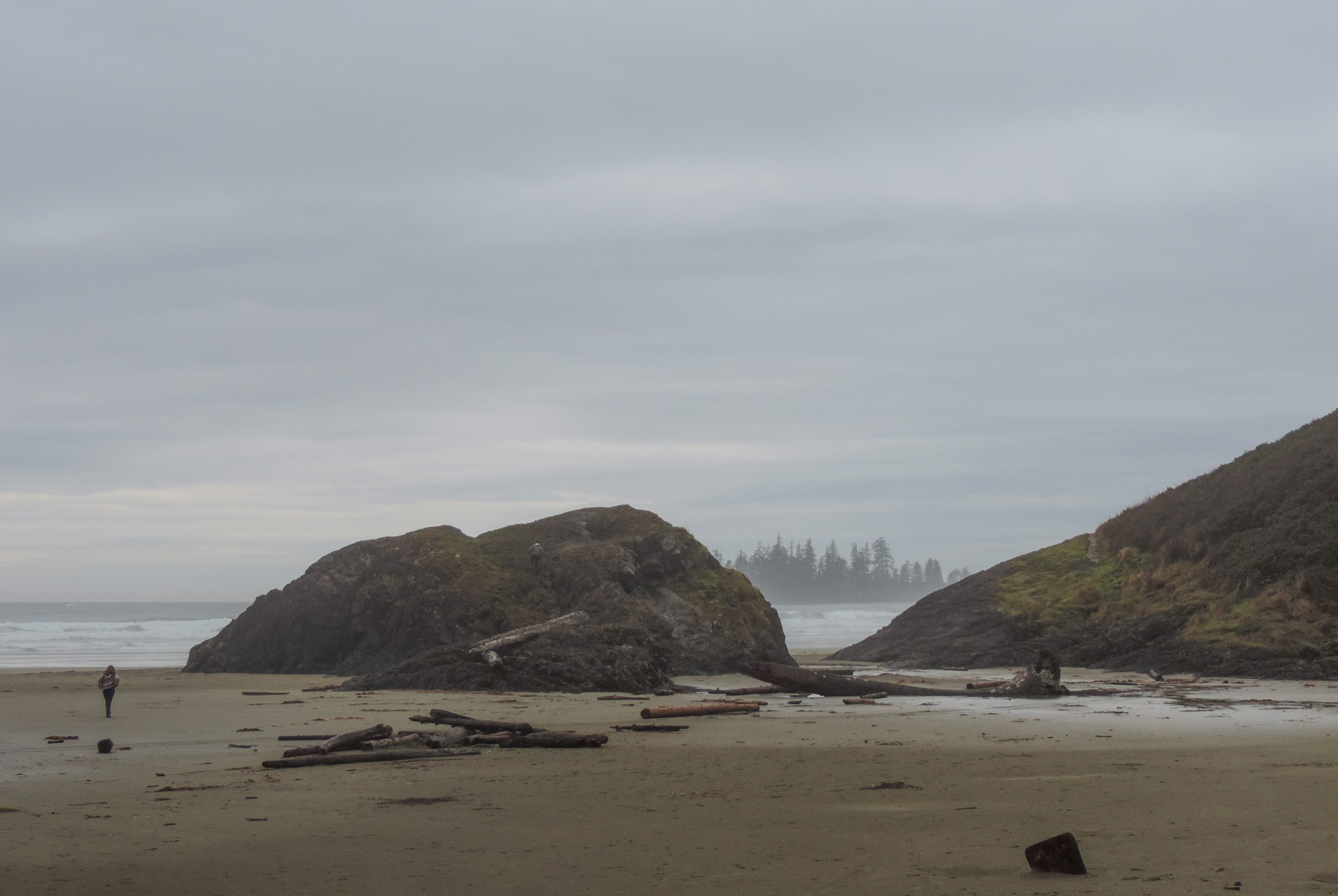 Surf Tofino's Cox Bay