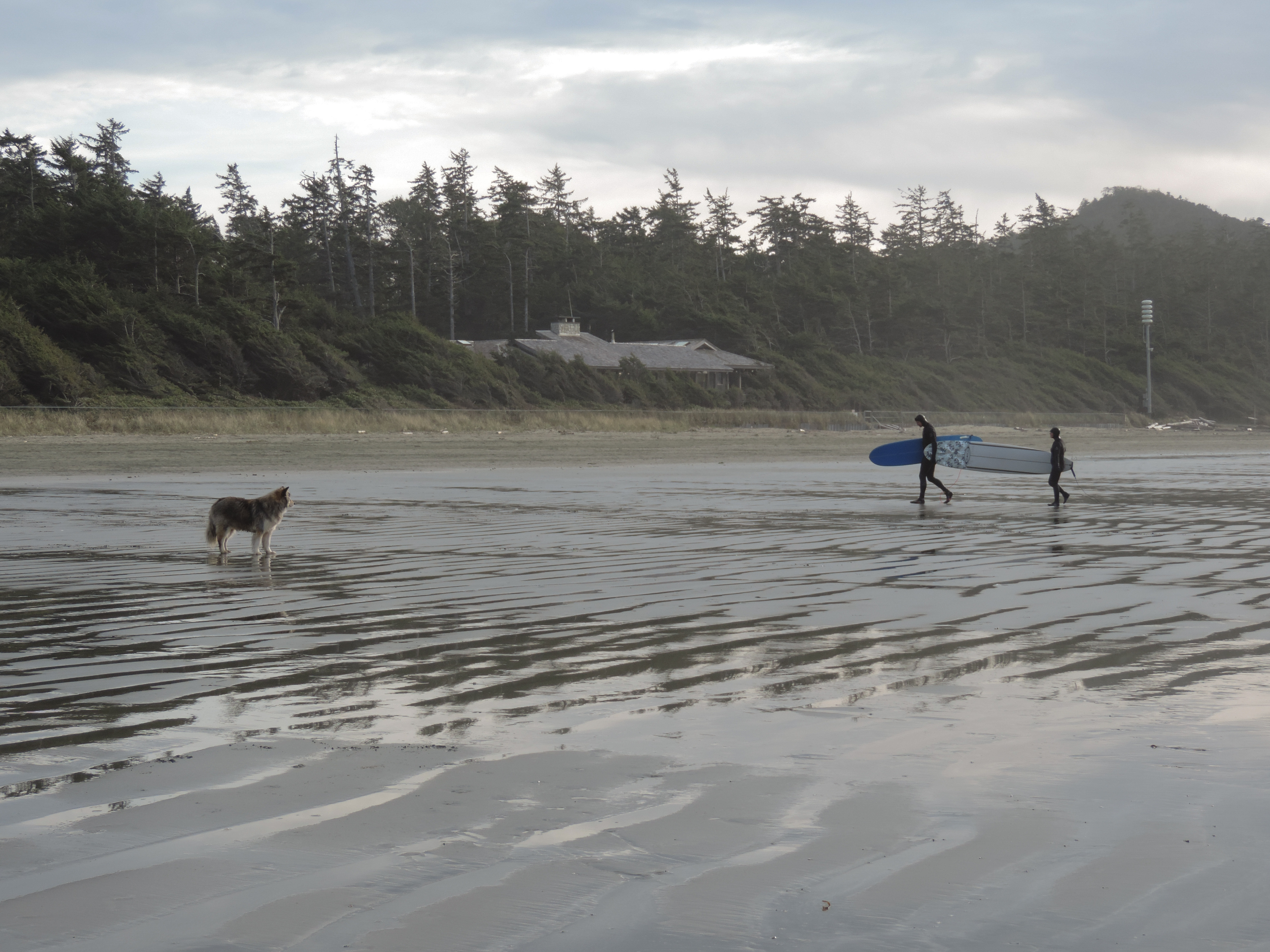 Surf Tofino's Cox Bay
