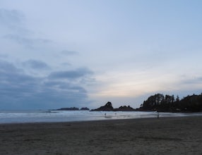 Surf Tofino's Cox Bay