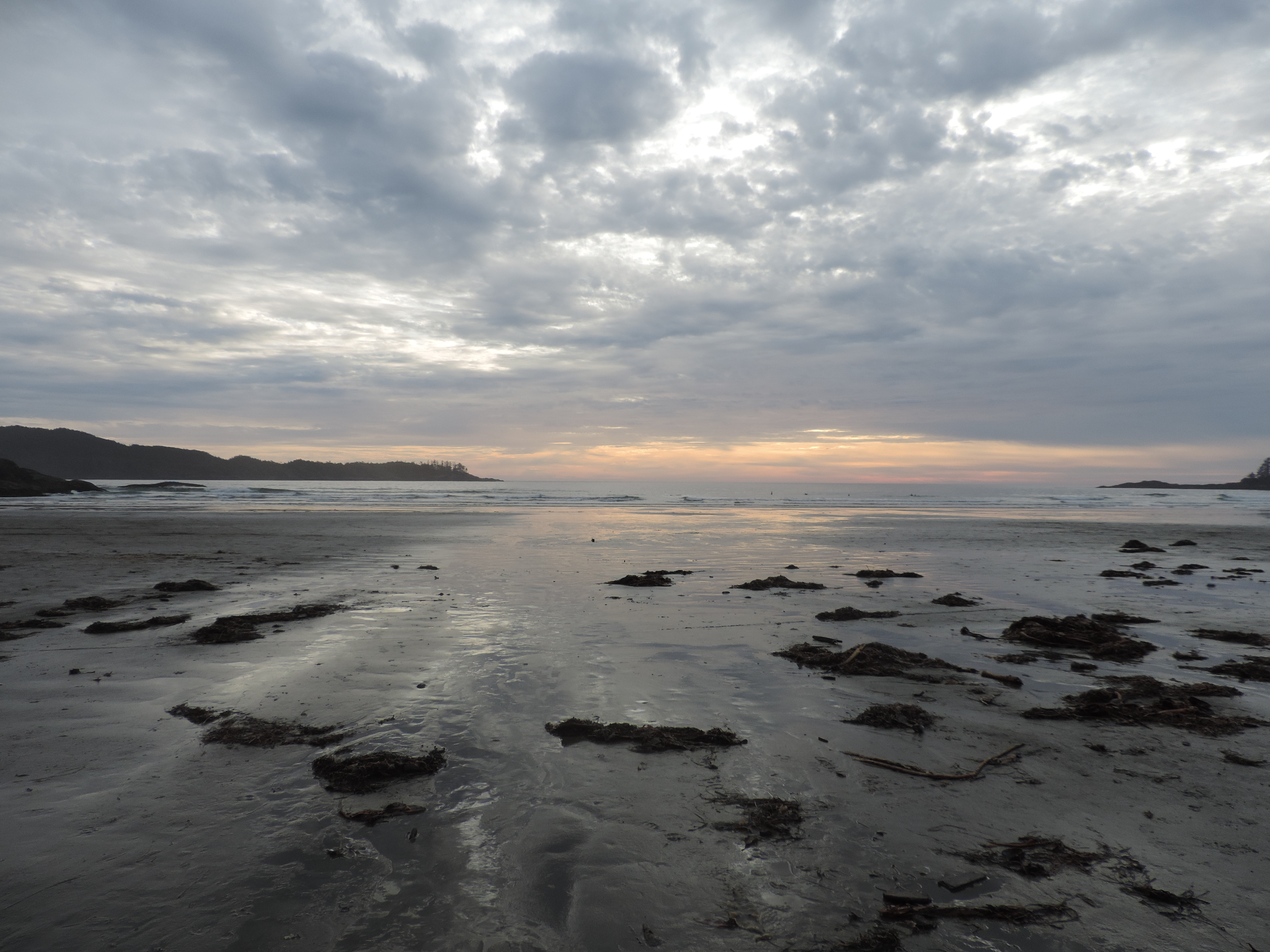 Surf Tofino's Cox Bay