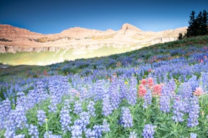 Mount Timpanogos via Timpanogos Trail #053
