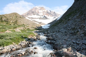 McNeil Point via Top Spur Trailhead