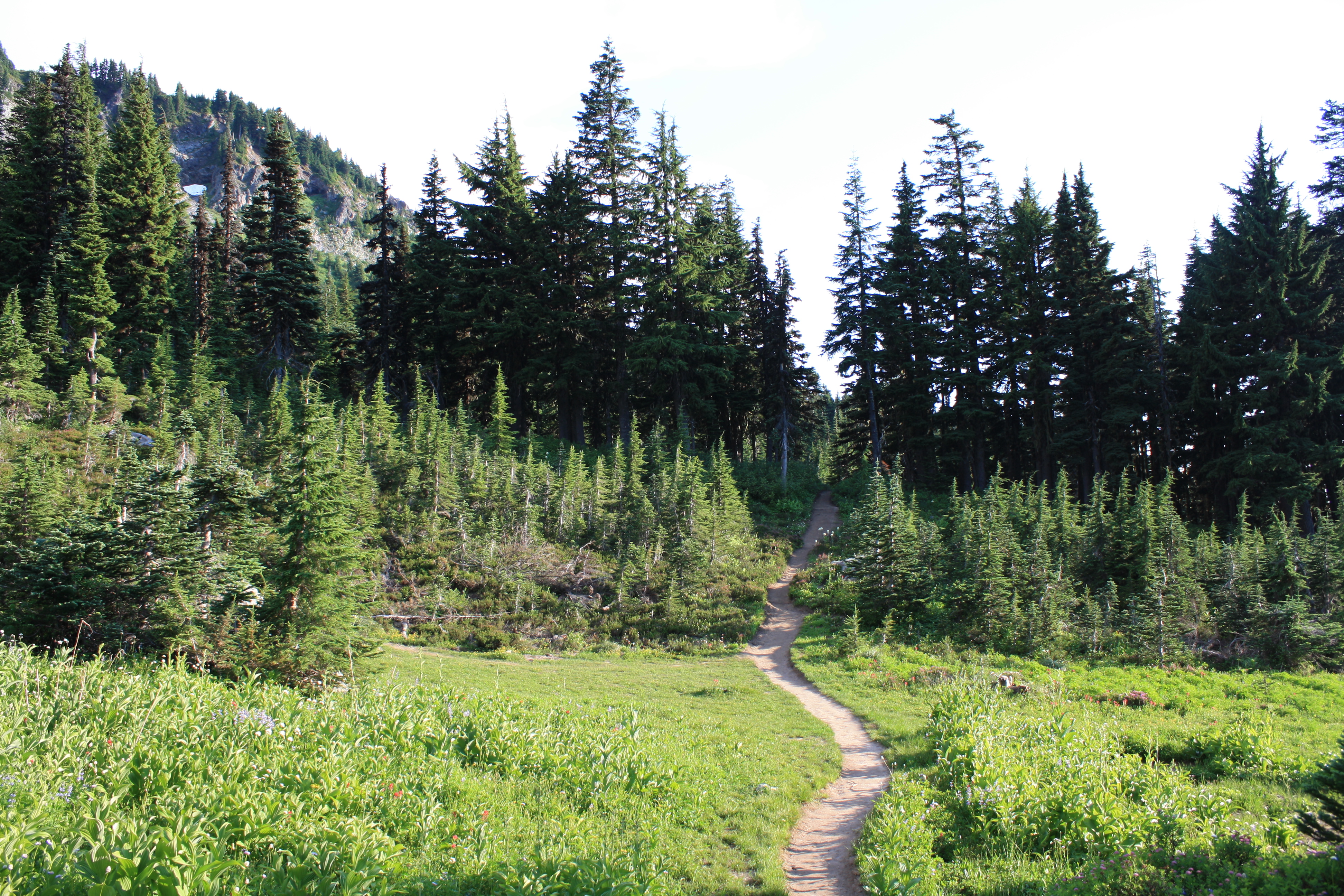 McNeil Point via Top Spur Trailhead
