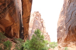 Hike through Grandstaff Canyon