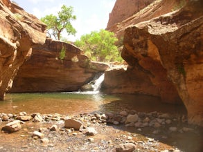 Hike to Power Dam