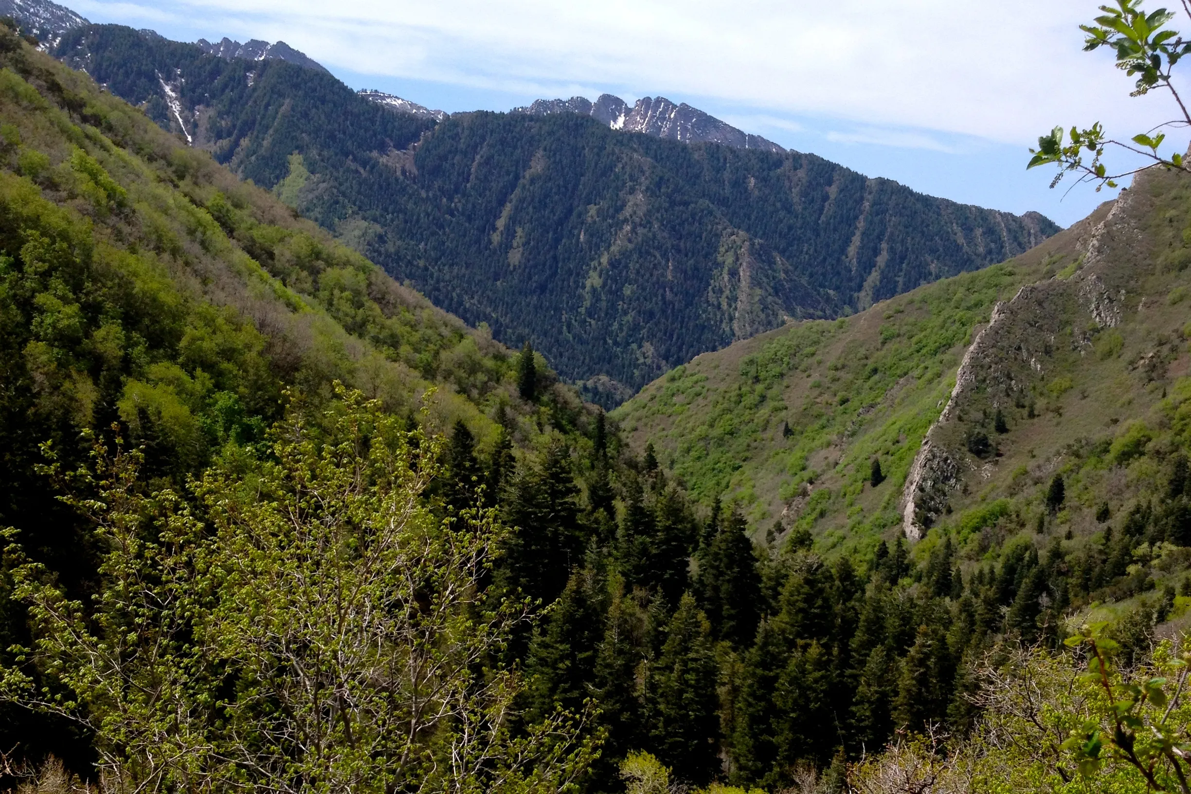 Grandeur Peak East Trail