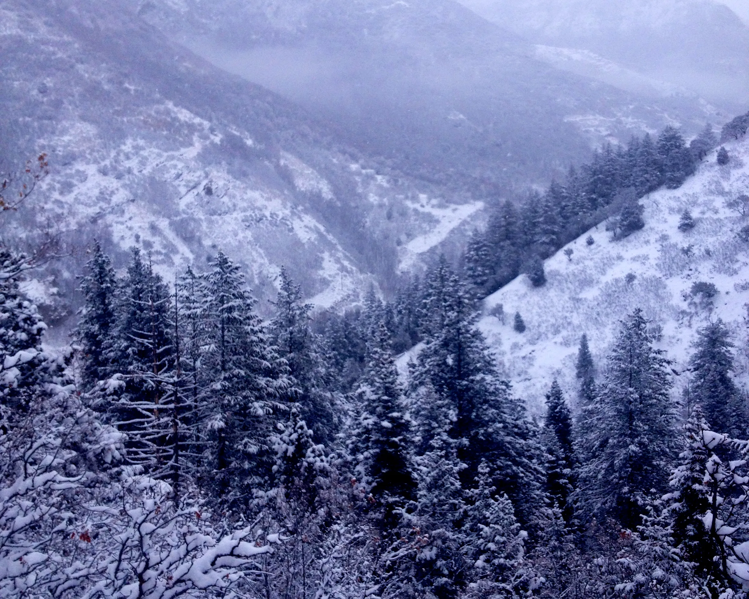 Salt Lake Overlook via Desolation Trail