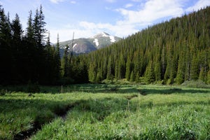 Wildflowers, Lakes, and Peaks, Oh My!