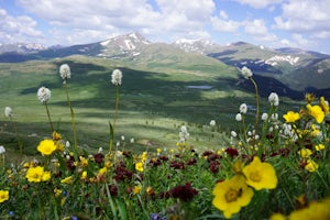 Mount Bierstadt