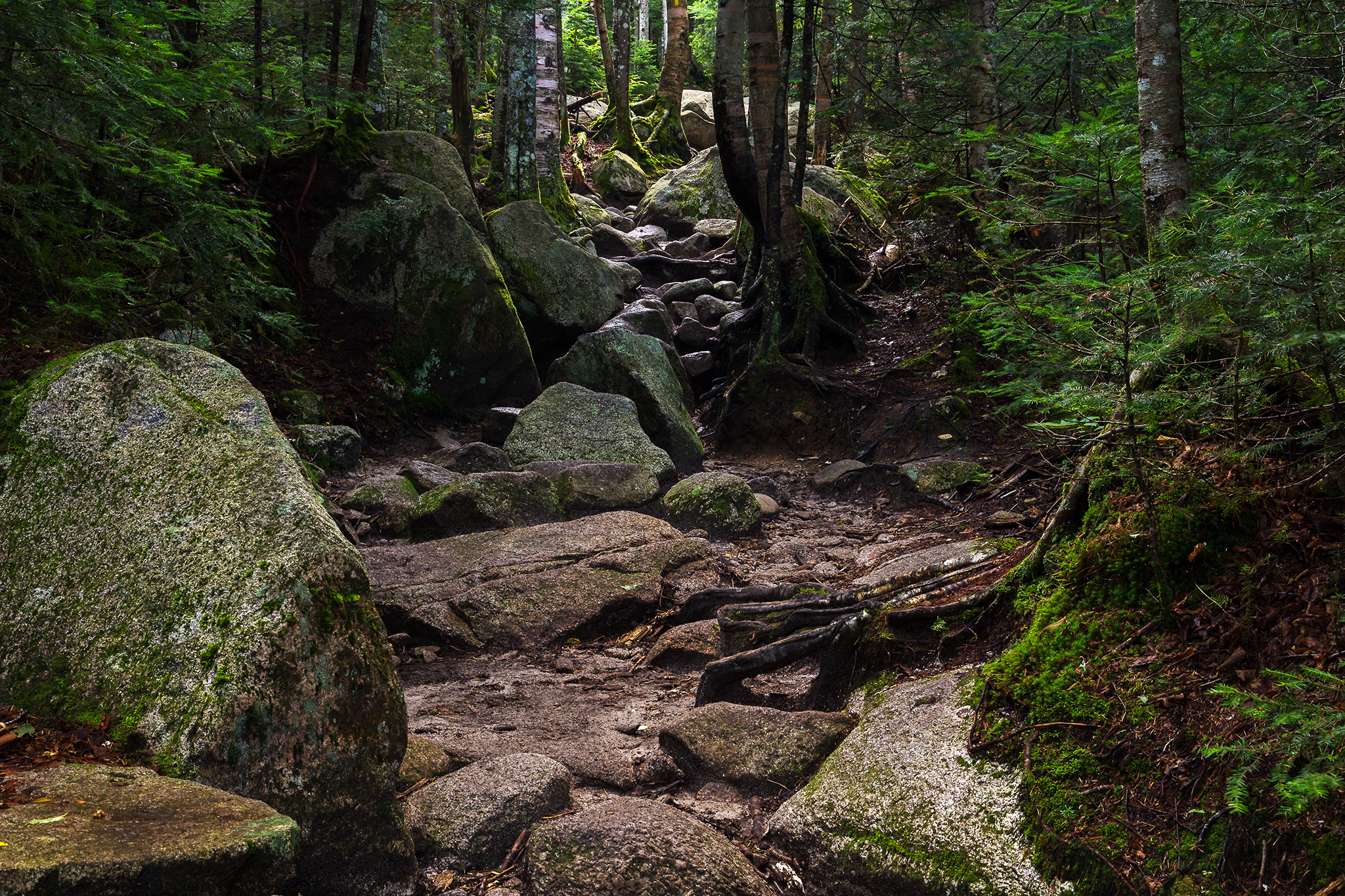 Lonesome Lake