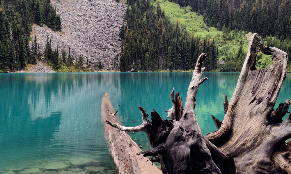 Joffre Lakes Trail