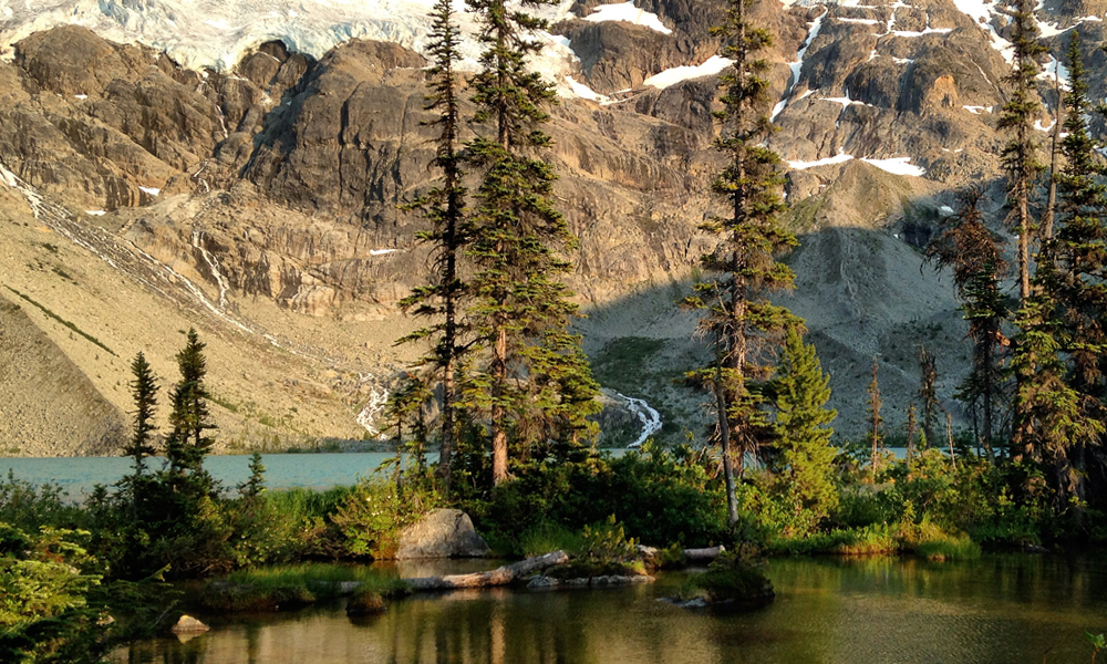 Joffre Lakes Trail