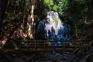 Ramona Falls Loop