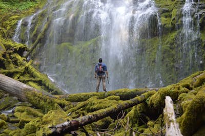 Hike to beautiful waterfall in Proxy Falls