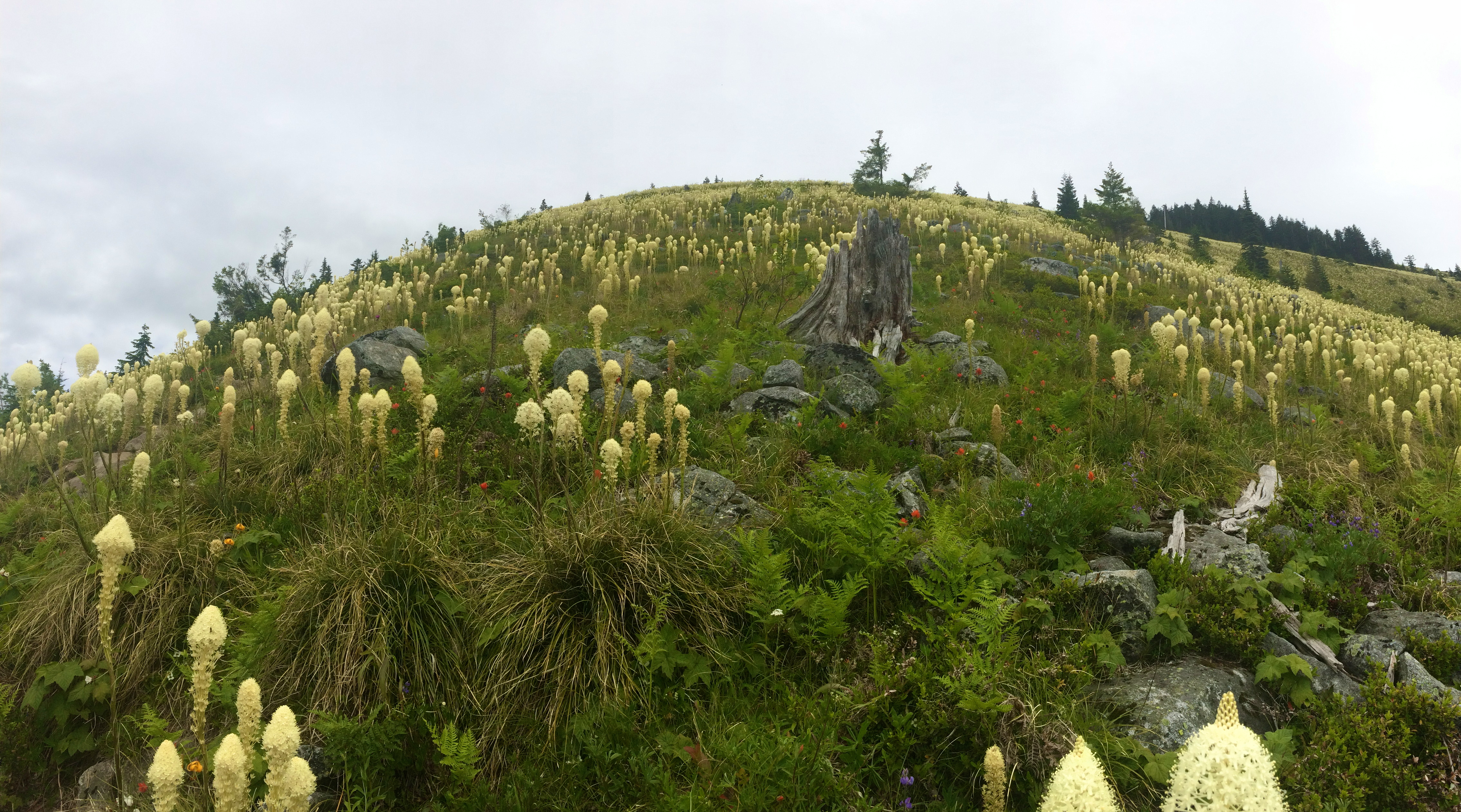 Bandera Mountain