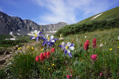 Climbing Grays and Torreys Peaks, Grays Peak and Torreys Peak