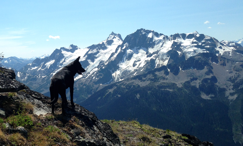 Hike to Mt Rohr