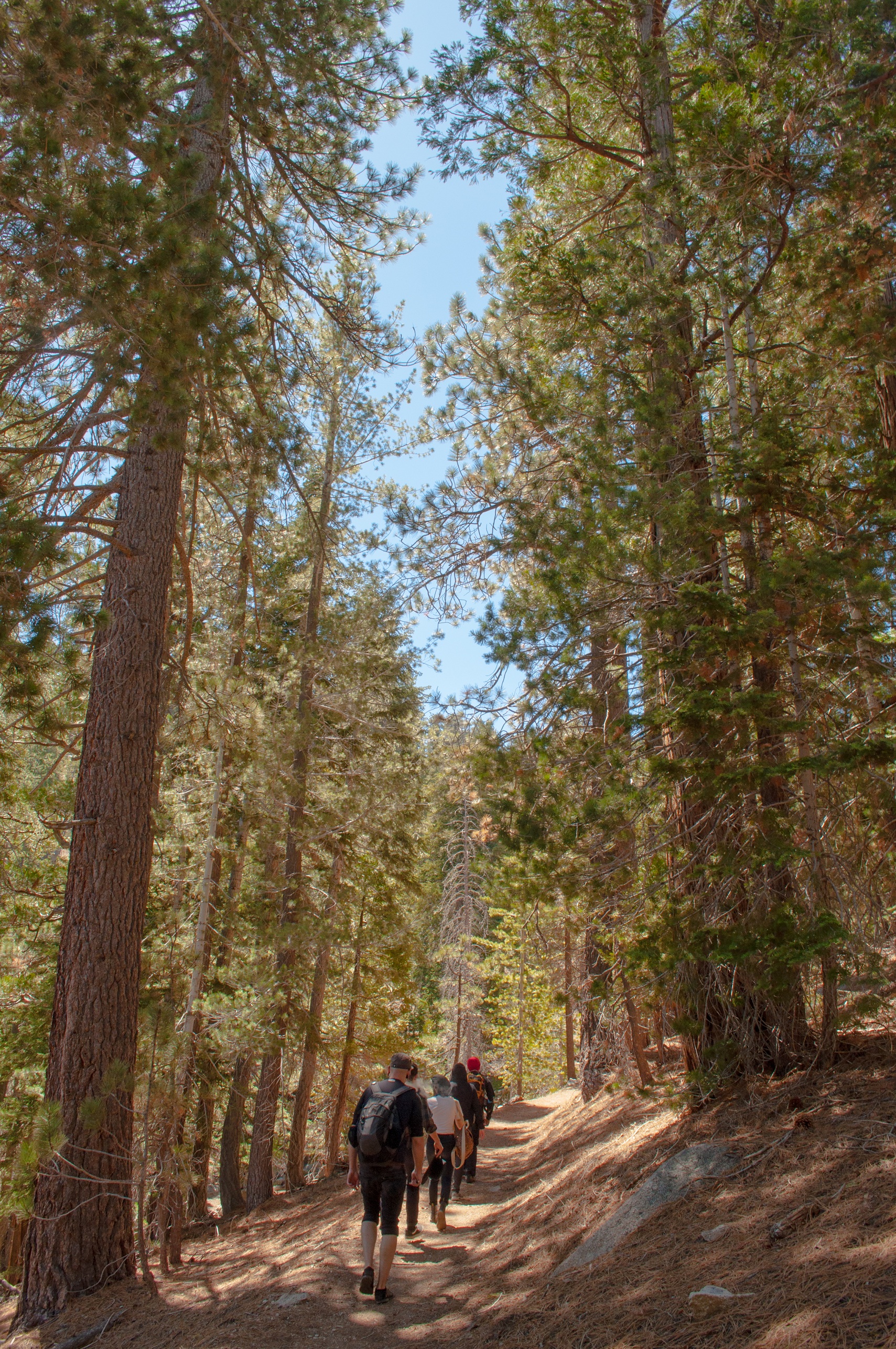 Mt. Waterman
