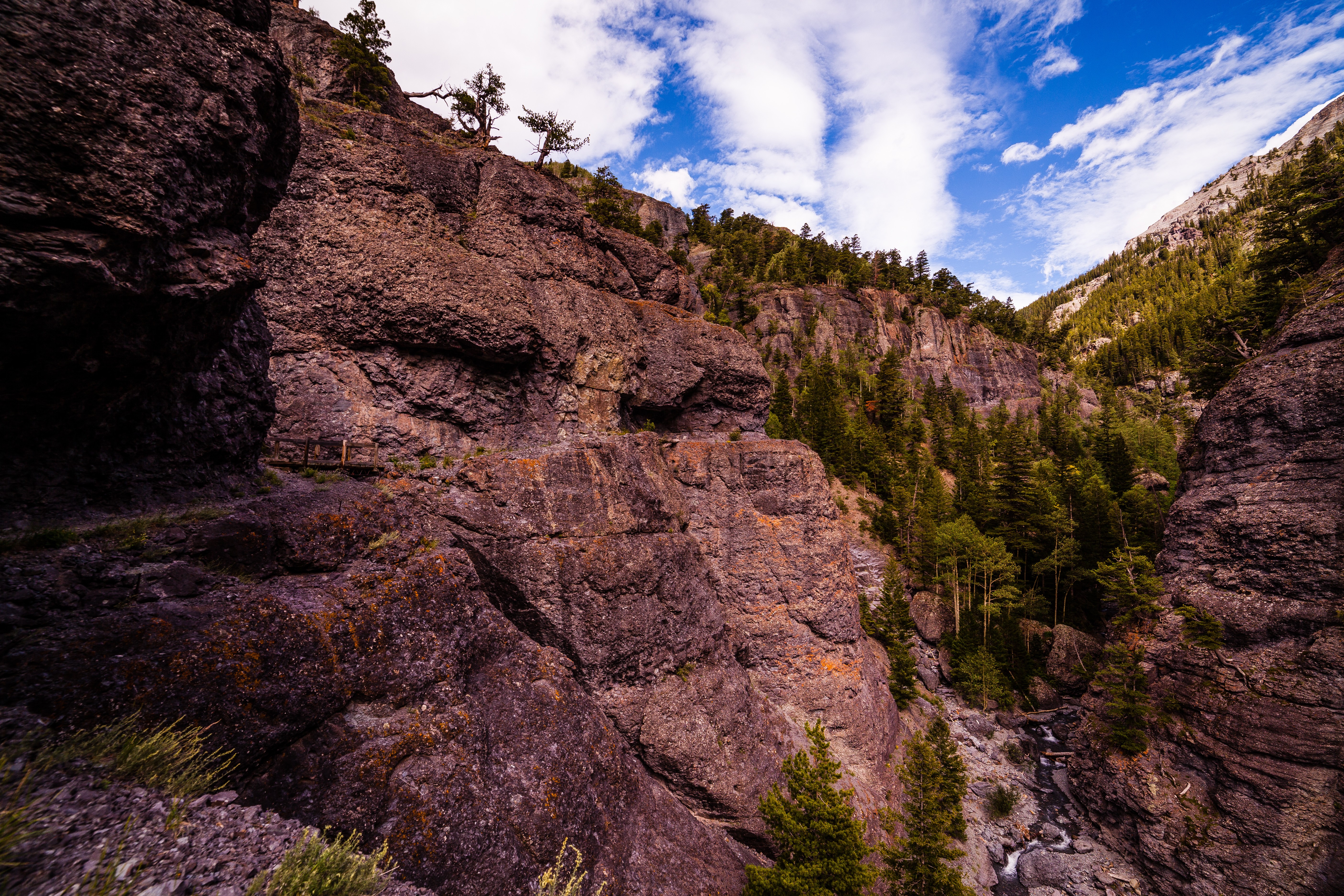 Running to Grizzly Bear Mine