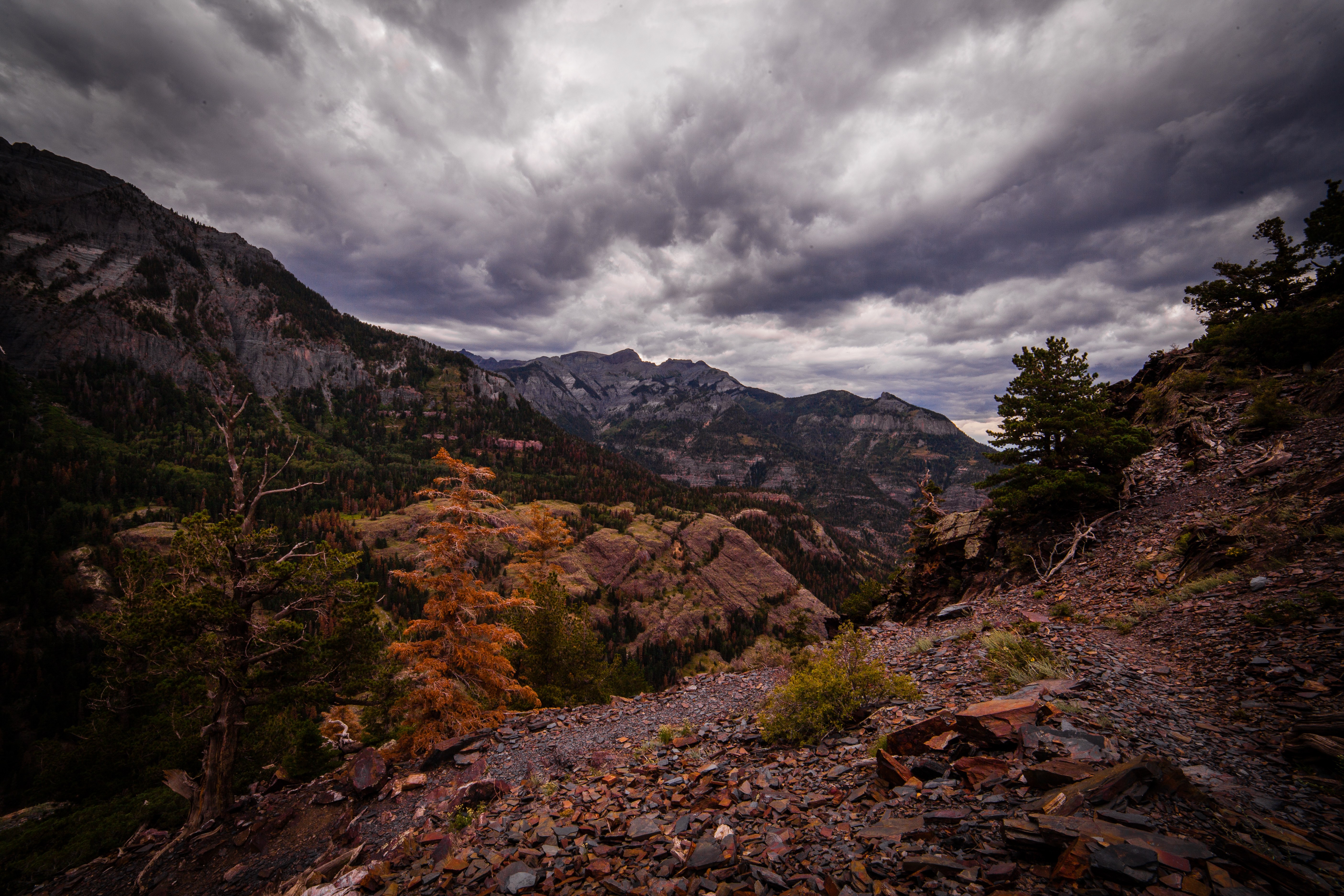 Running to Grizzly Bear Mine