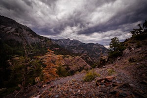 Running to Grizzly Bear Mine