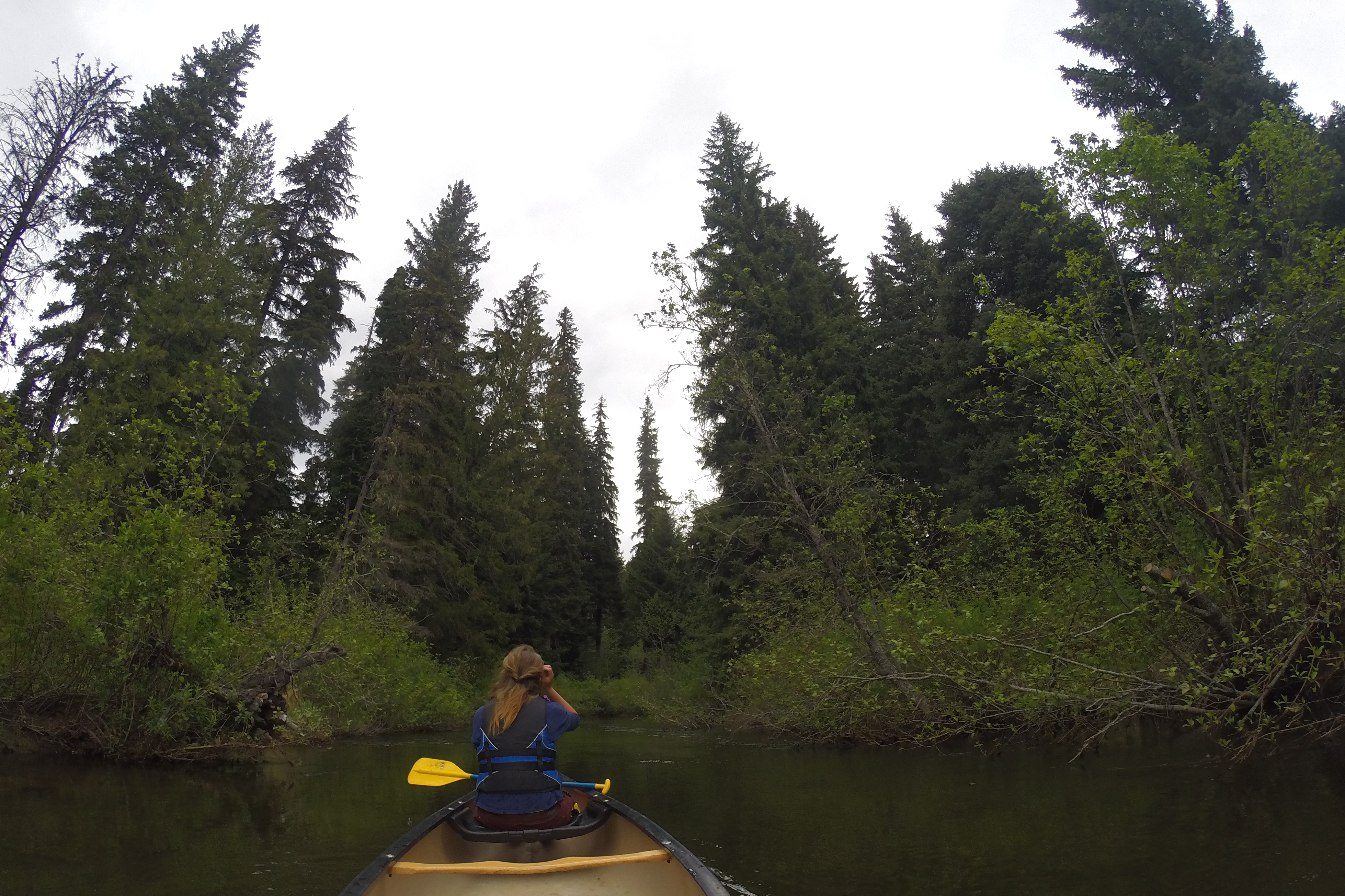 Paddling the River of Golden Dreams
