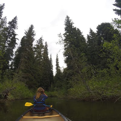Paddling the River of Golden Dreams