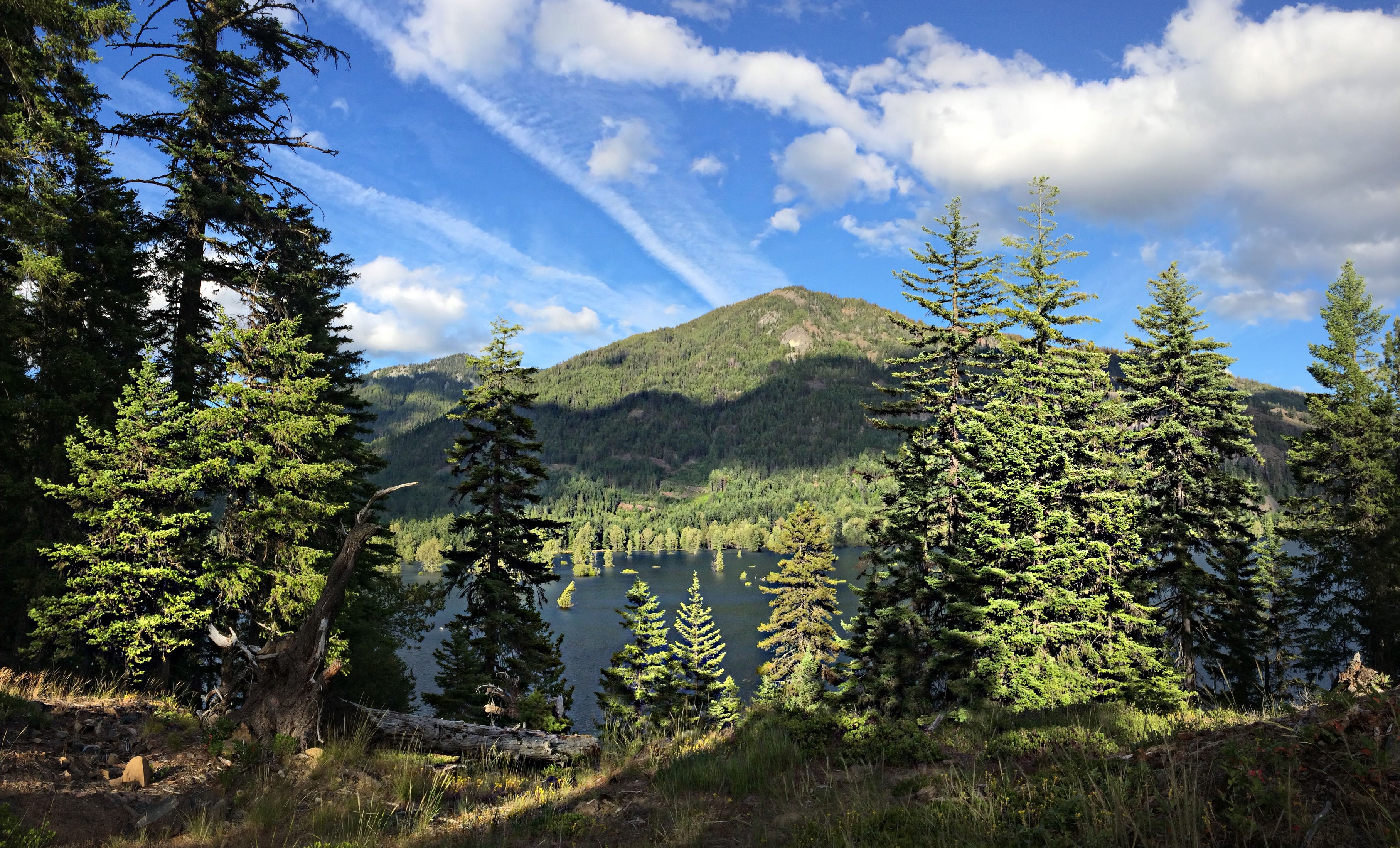 Camping at French Cabin Creek Rd. 