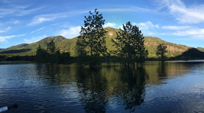 Camping at French Cabin Creek Rd. , Lake Cle Elum